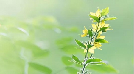 時光不斷流逝，我們不斷成長 ——職場黃埔升職加薪訓(xùn)練營18期班第一天